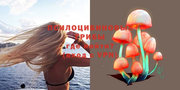 винт Алексин