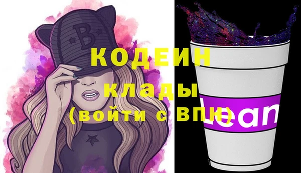 дживик Осинники