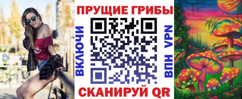 Галлюциногенные грибы Cubensis  Петровск 