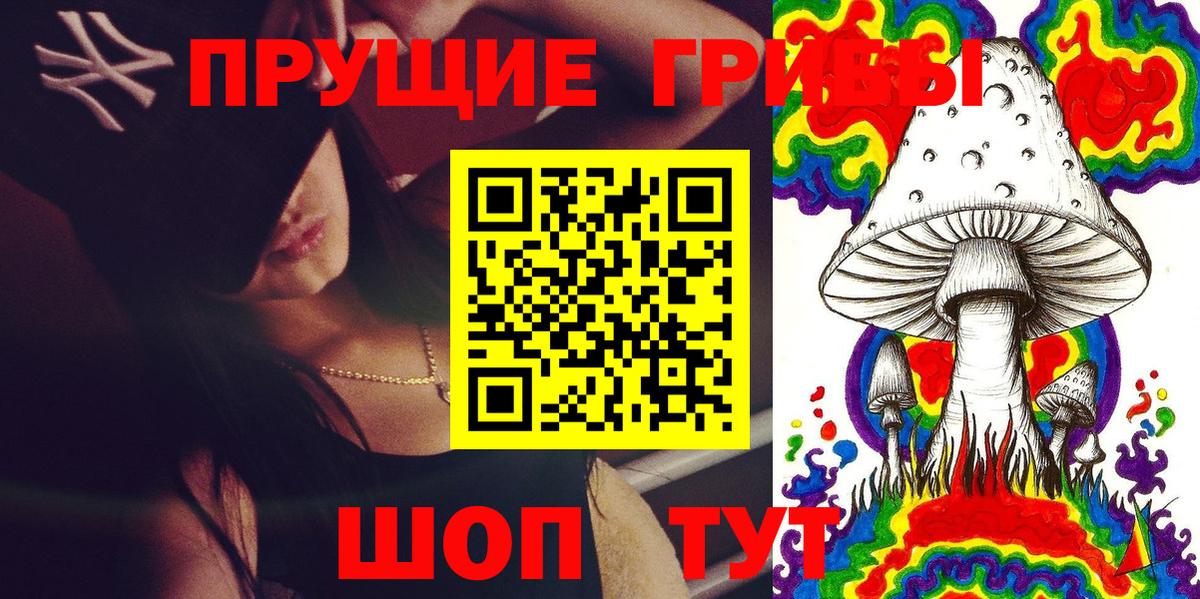 Петровск  Псилоцибиновые грибы MAGIC MUSHROOMS  Вход с VPN 