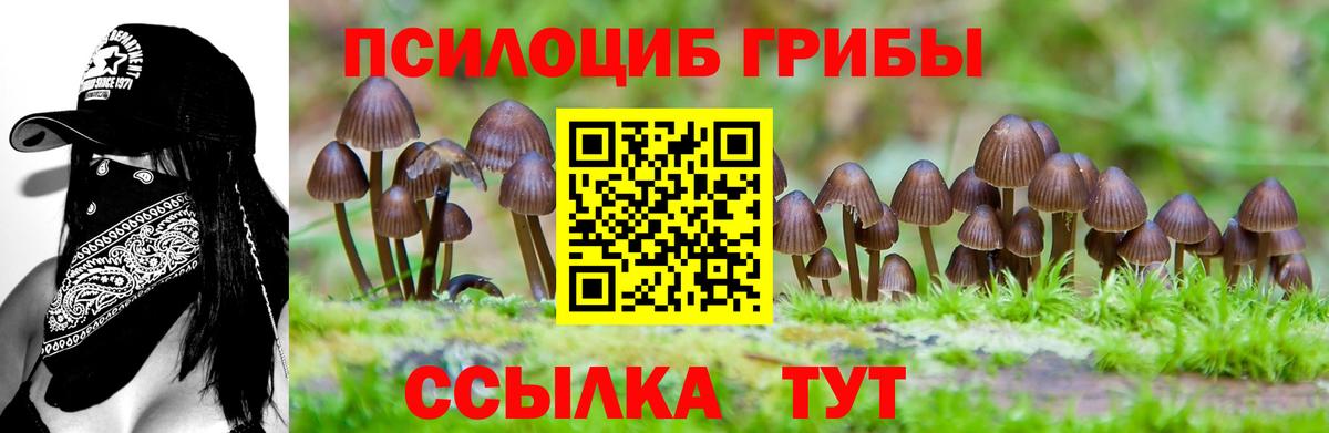 Галлюциногенные грибы MAGIC MUSHROOMS Петровск